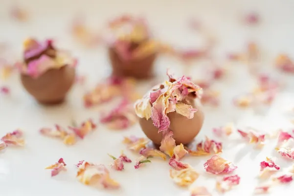 カジノ ハイチ ウィン Android/iOS アプリ